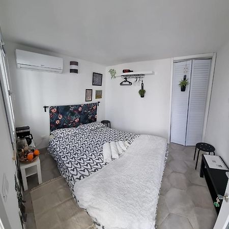 Garden Room Piza Zewnętrze zdjęcie