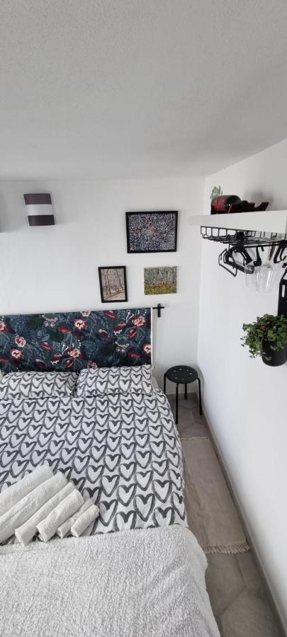 Garden Room Piza Zewnętrze zdjęcie
