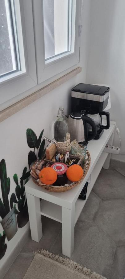 Garden Room Piza Zewnętrze zdjęcie