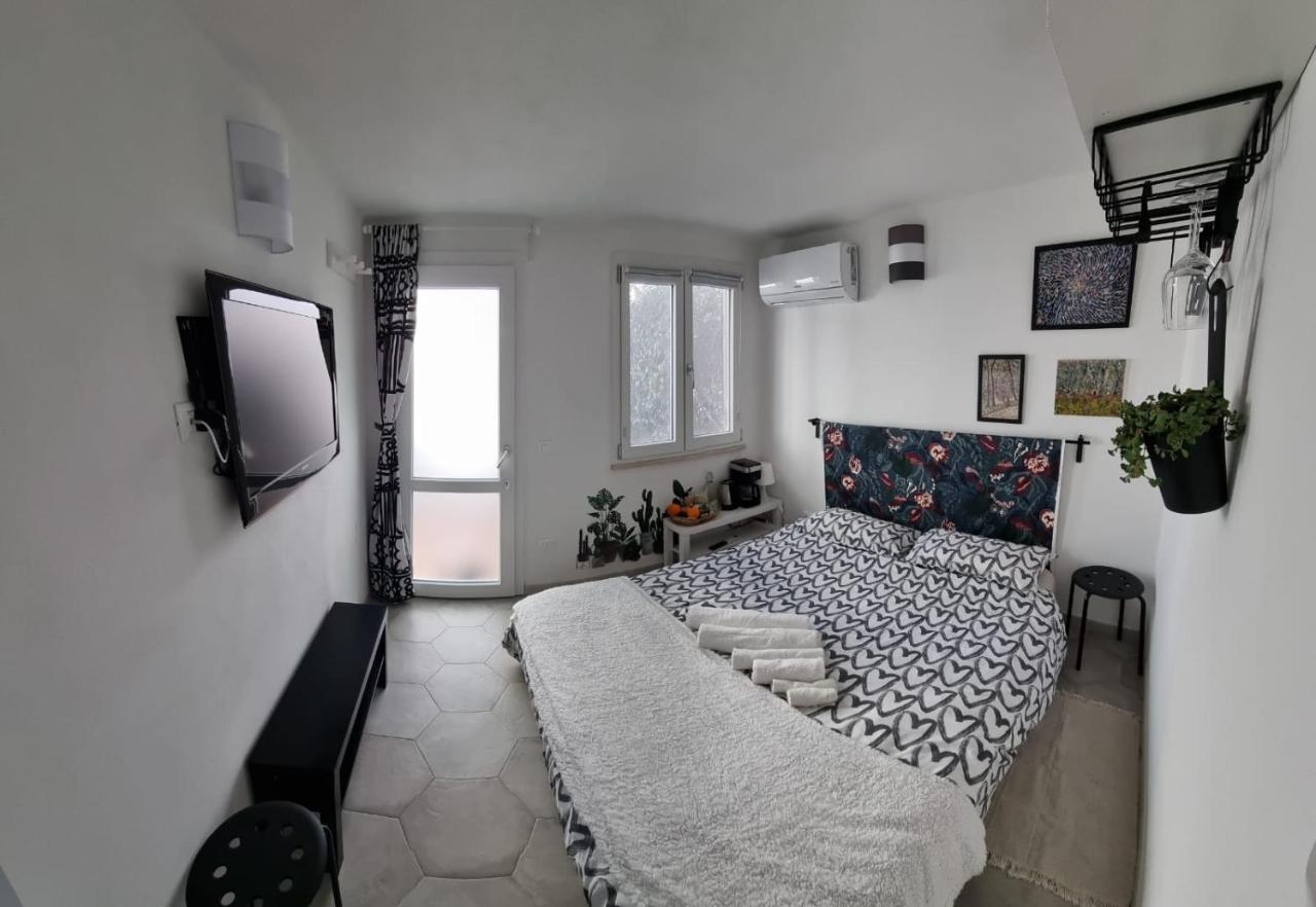 Garden Room Piza Zewnętrze zdjęcie